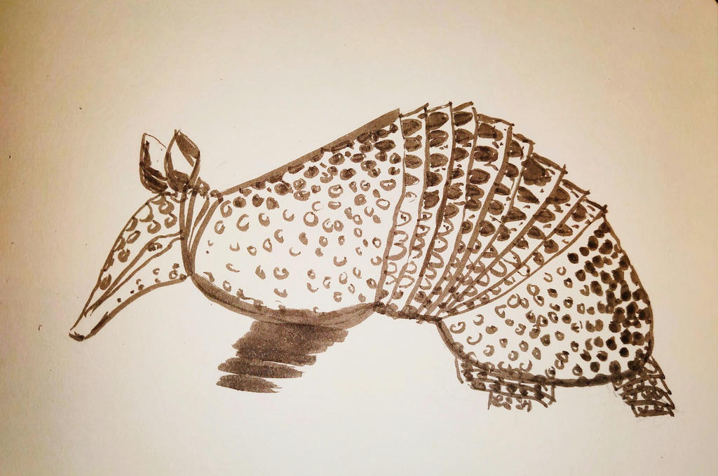 Armadillo